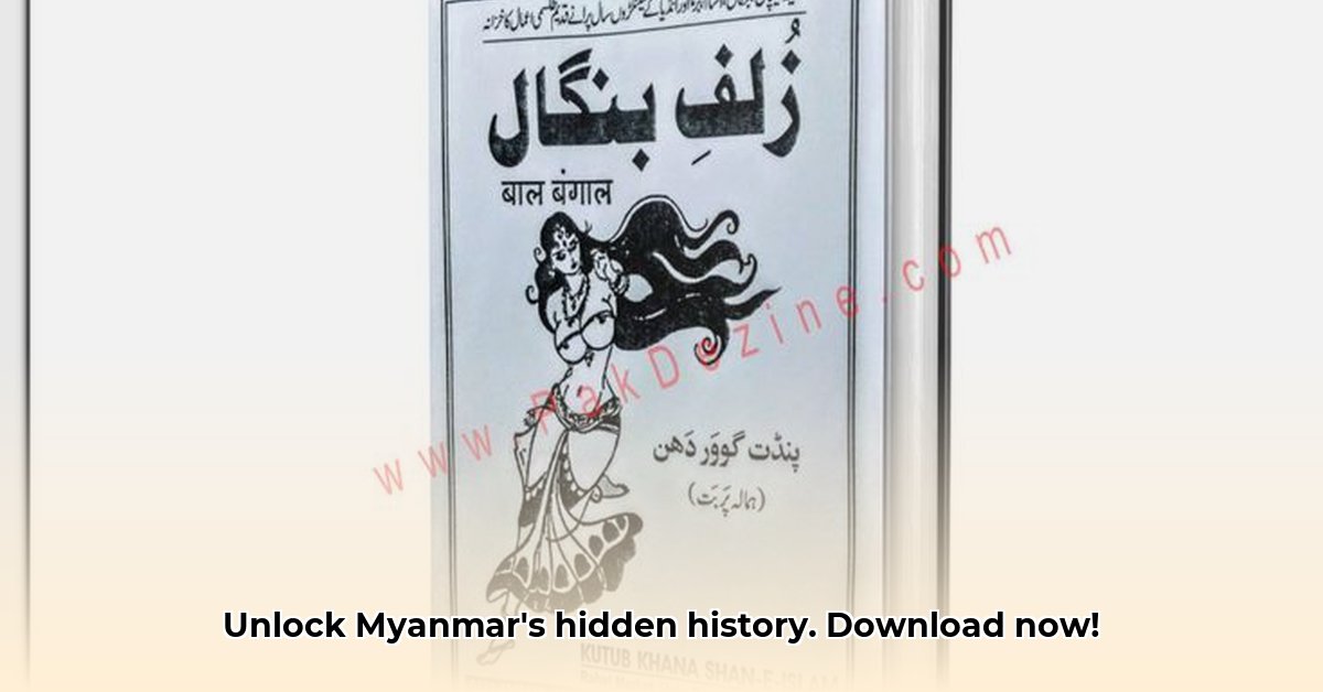 myanmar-blue-book-pdf-download